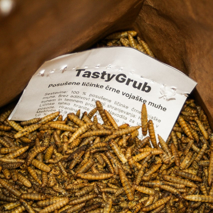 Dried Larvae