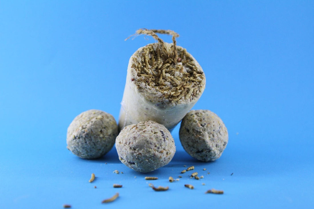 Protein Boost Priboljšek