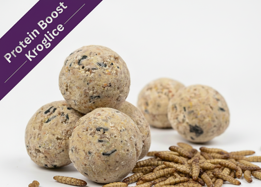 proteinska hrana kokoši